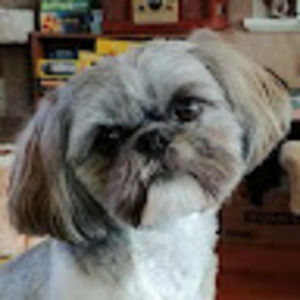 Meet your Posher, Rhea